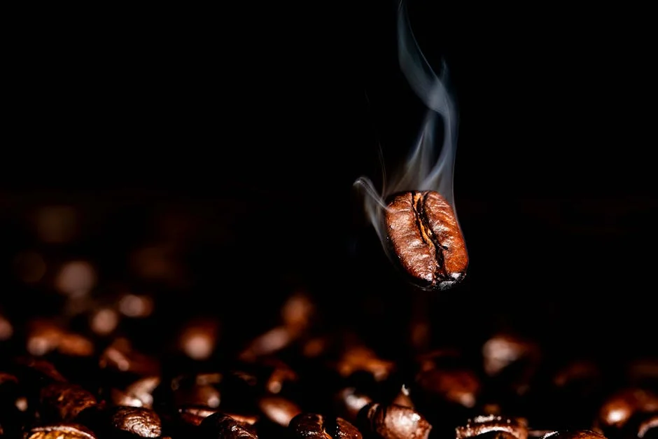 Coffee Beans Bags Buyer's Guide: Keep Your Roasts Fresh
