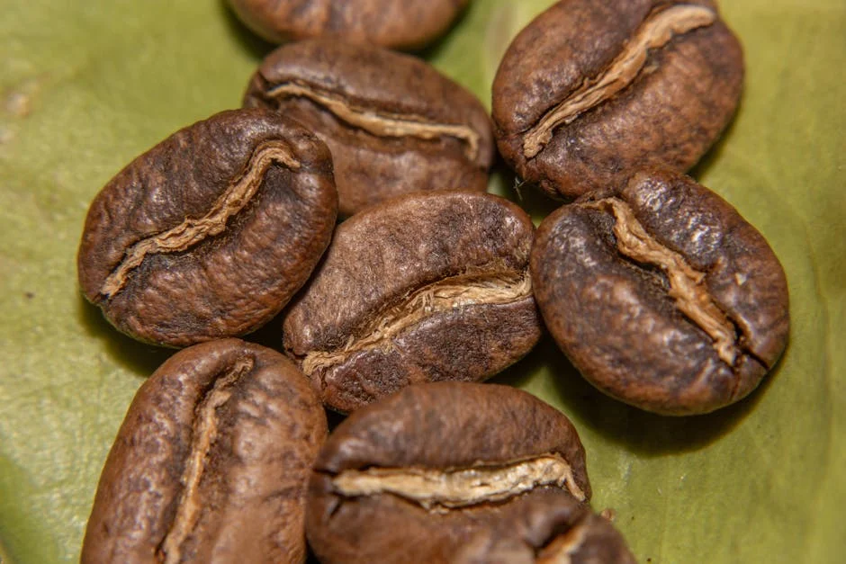 Bustelo Whole Bean Coffee Reviewed: Dark Roasts Tested