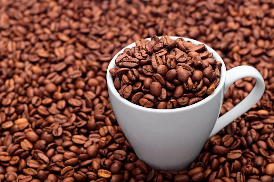 Java Bean Coffee Buyer's Guide: What to Know Before Buying